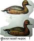 ���������� �����