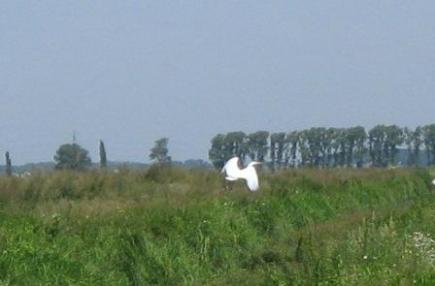 ����� �����