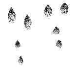 ����� ������, ������