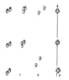 ����� ����� , ����������, �����, �����