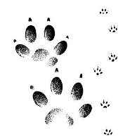 ��������� ����������� ������