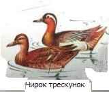 ����� ���������