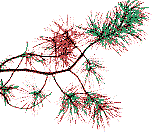 �������� �����