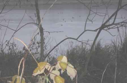 �� �����