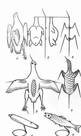 ������������ ����� �����, ����