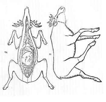 �������� ���� ����