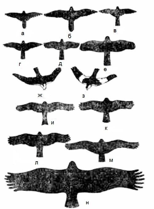 ������ ����� � ������