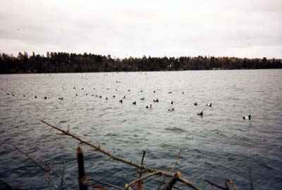 ����� � ������. ����