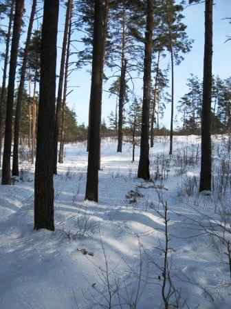 ����� � ����