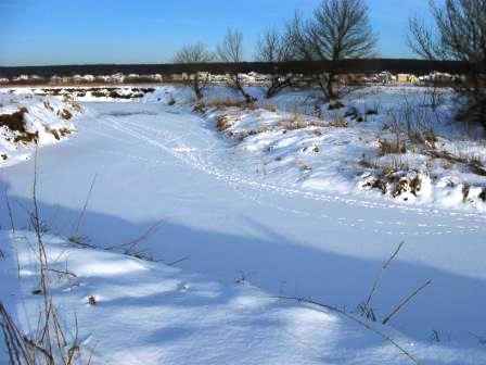 ����� ������