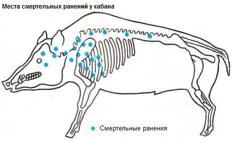 ����� ����������� ������� � ������