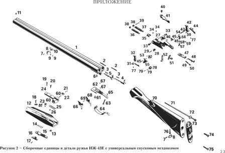 �� 43 ������