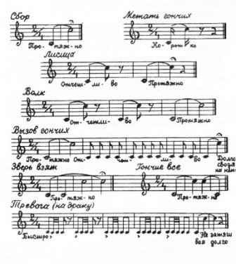 ���� ����������� ����