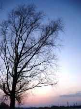 ����� �����