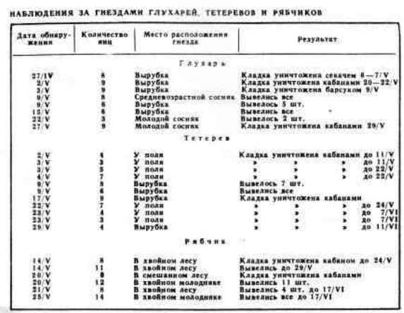 ������ ��������