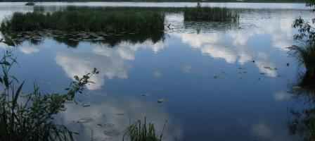 ������� �� �����