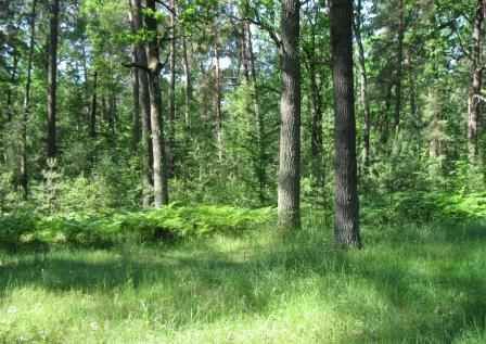 �������� � ����