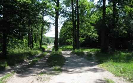 ������ � ����