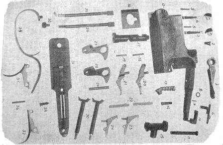 ������ ����� �� 12