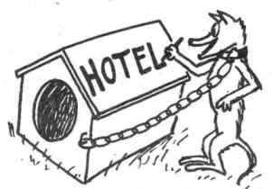 ������ � �������