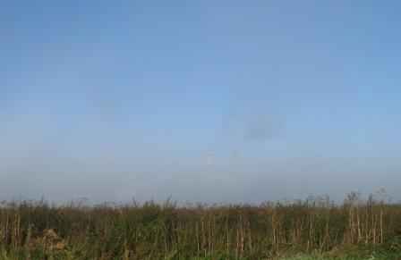 ���� ���������