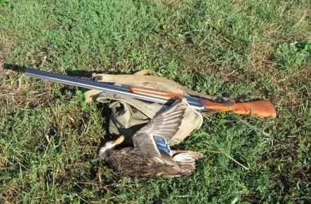 ��������� ������ ����