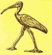 ���� ��������� �����