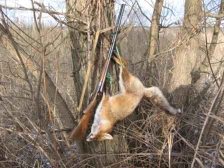 ������ ����