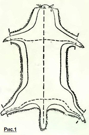 ������� ������ ��� ������ �� ������