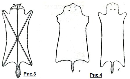 ��������� ����������� ������ ���������, �������