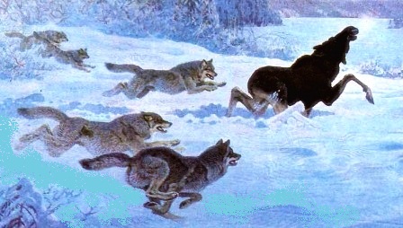 �����. ������ �� �����