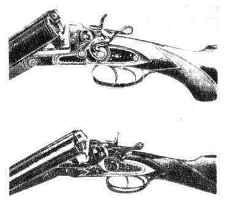 ����� 24 �������