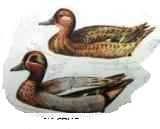 ����� ���������