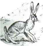 ���� �����