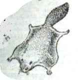 ����� ������