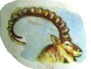 ������� ���������