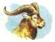 ��� ������������