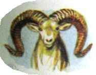 ������� �����