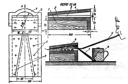 ���� ��� �������� ���� ��� �����