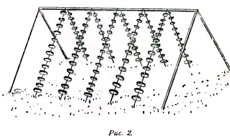 ����� ������. �������