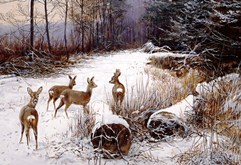 ��������� ��������