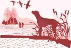 ����� ����