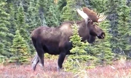 ����� �� ���� �� ����