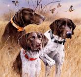 � �������