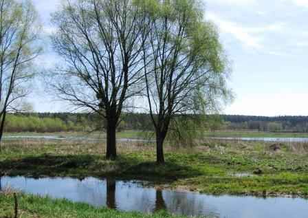 ������ ������