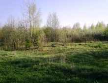 ������ �����