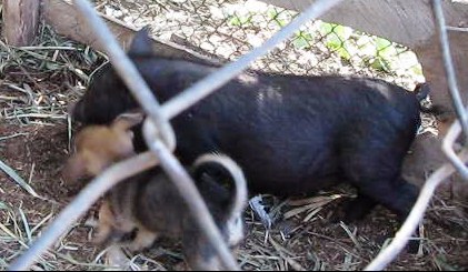 �������