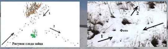 ����� �����. �������, ������, ������