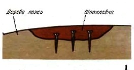 ������ ��������, ����