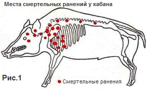 �������� ������.  ����� ��������